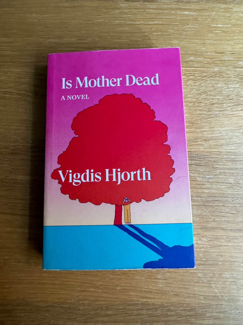 Is Mother Dead by Vigdis&nbsp;Hjorth